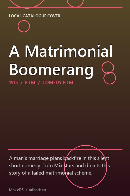 A Matrimonial Boomerang poster