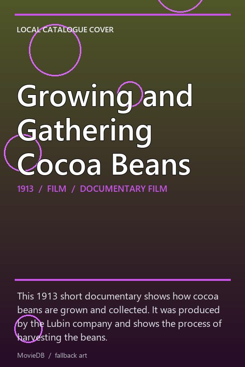 Growing and Gathering Cocoa Beans poster
