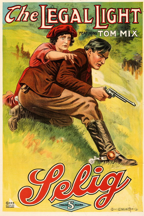 The Legal Light poster
