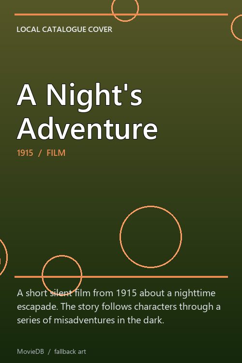 A Night's Adventure poster
