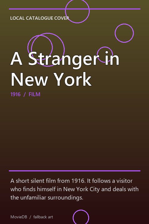 A Stranger in New York poster