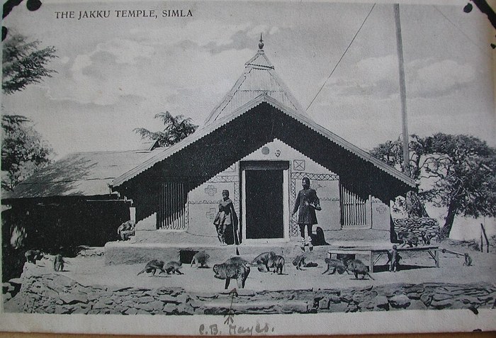 Simla poster