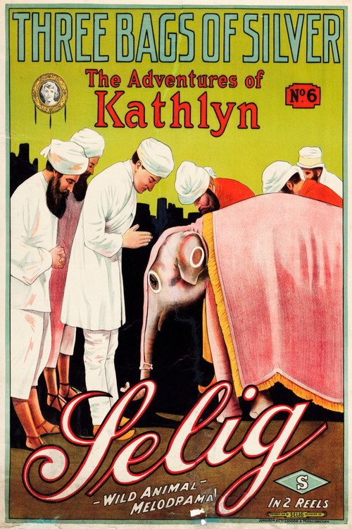 Three Bags of Silver poster