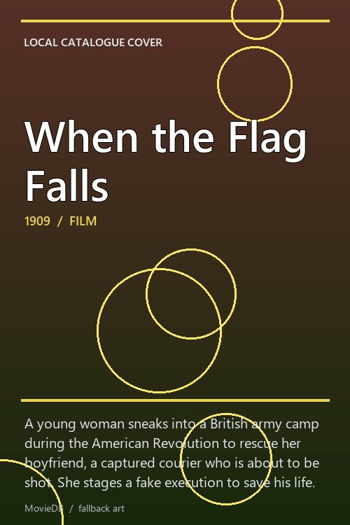 When the Flag Falls poster