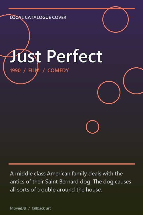 Just Perfect poster