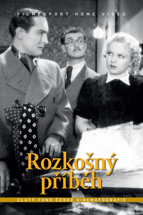 Delightful Story poster