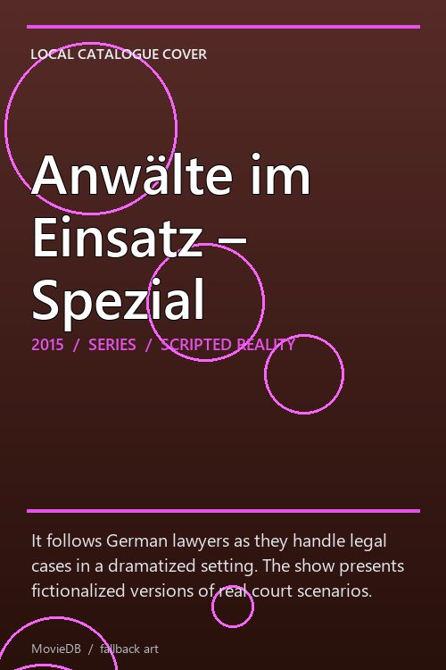 Anwälte im Einsatz – Spezial poster