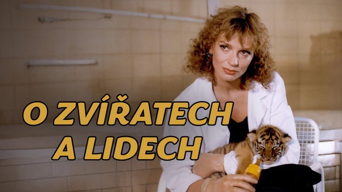 O zvířatech a lidech poster