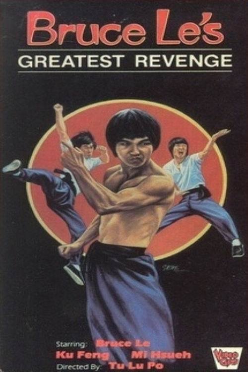 Way of the Dragon 2 poster
