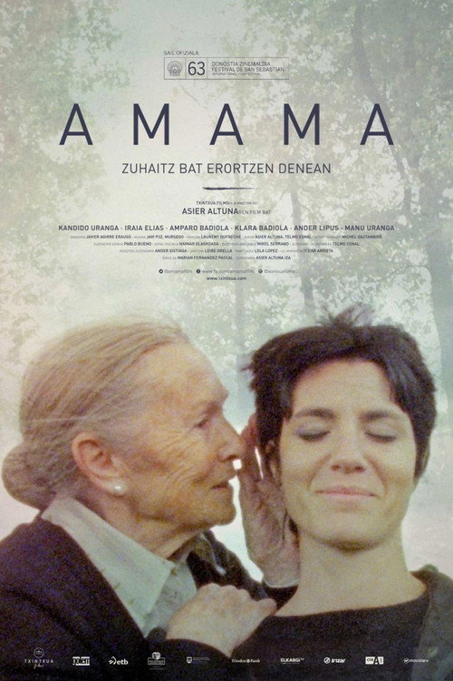 When a Tree Falls poster
