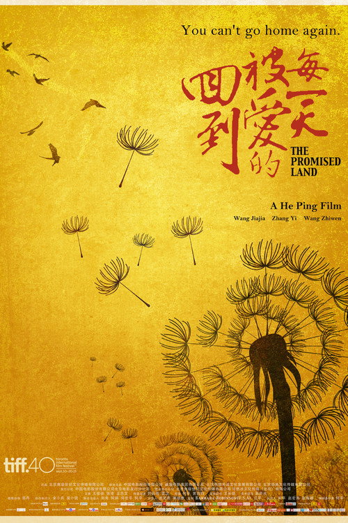The Promised Land poster