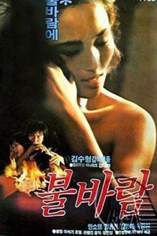 Fiery Wind poster