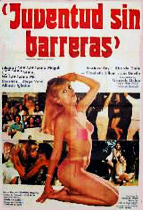 Youth Without Barriers poster