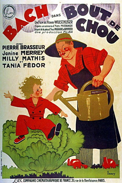 Bout de chou poster