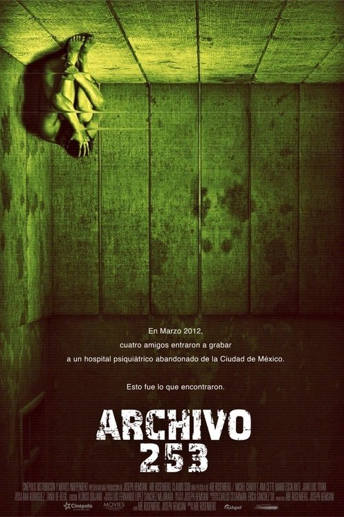 Archivo 253 poster