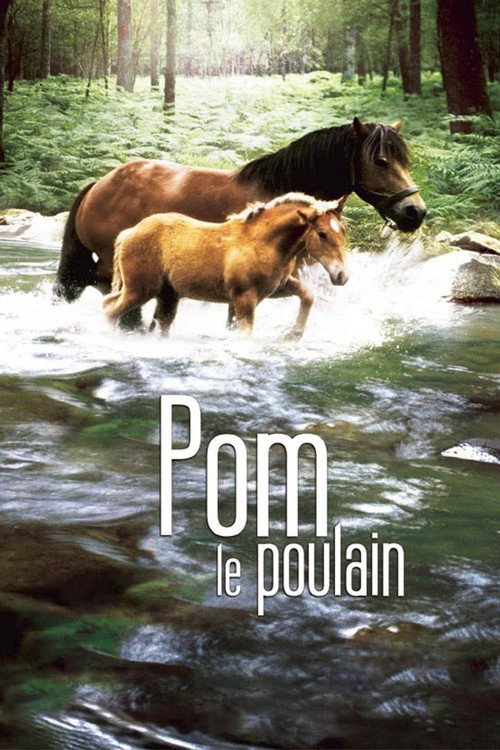 Pom le poulain poster