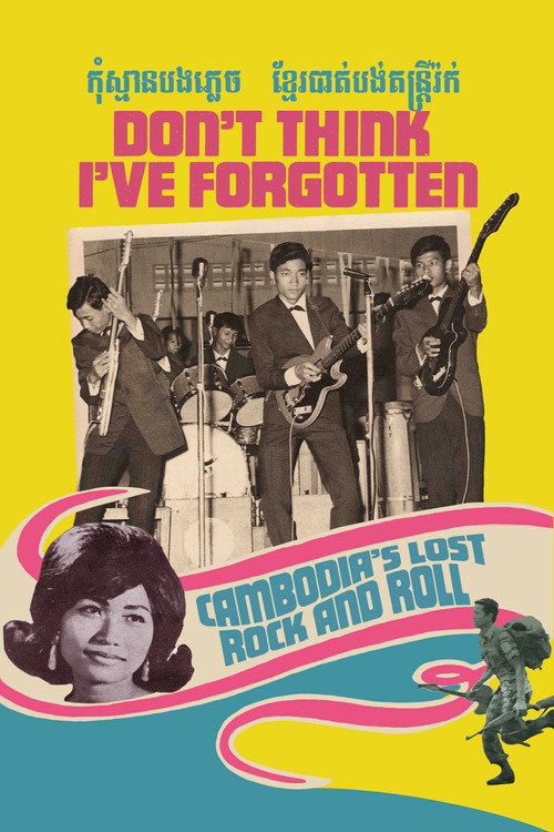 Don't Think I've Forgotten poster
