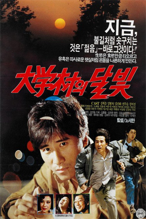 The Moonlight Over University Town poster