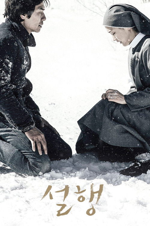 Snow Paths poster