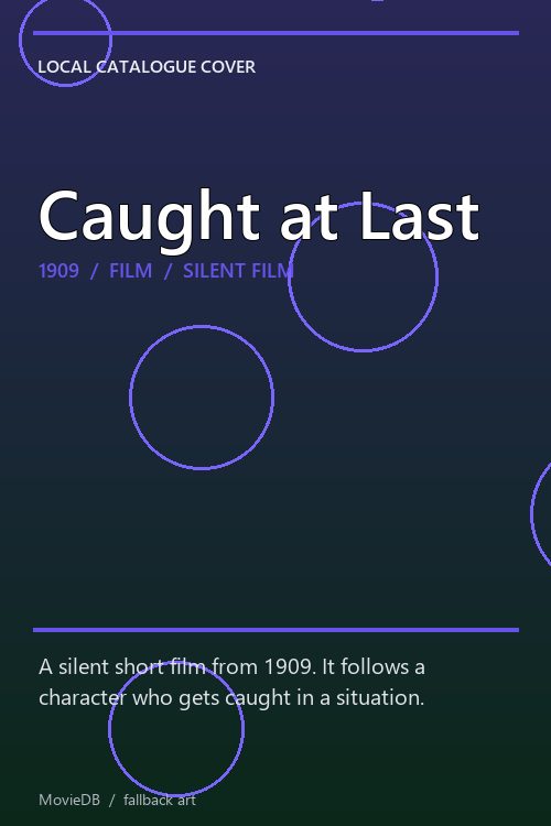 Caught at Last poster