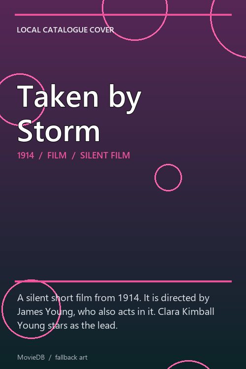 Taken by Storm poster