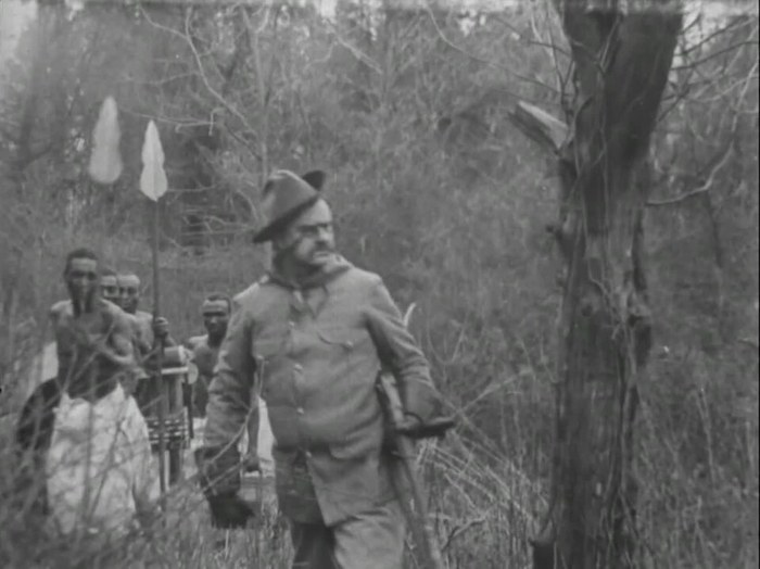 Teddy in Jungleland poster