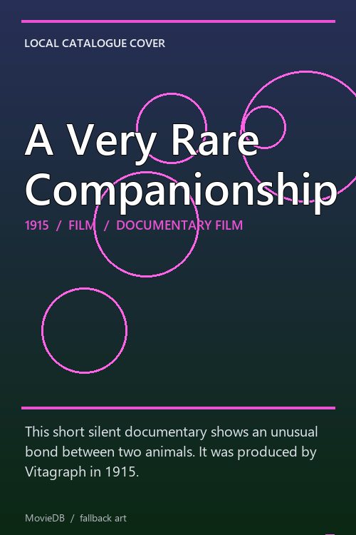 A Very Rare Companionship poster
