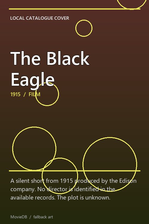 The Black Eagle poster
