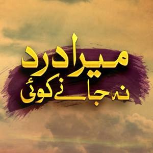 Mera Dard Na Janay Koi poster