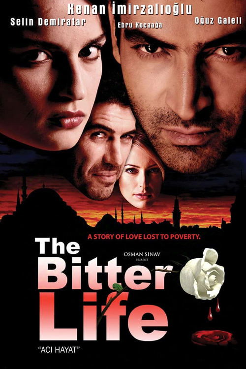 Acı Hayat poster