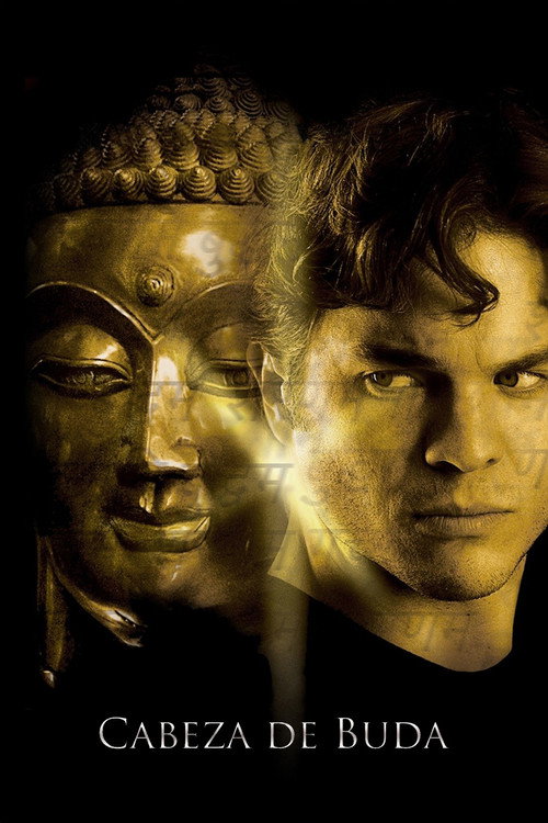 Cabeza de buda poster
