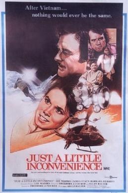 Just a Little Inconvenience poster