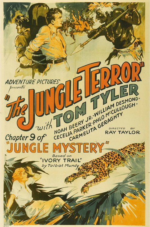 The Jungle Mystery poster