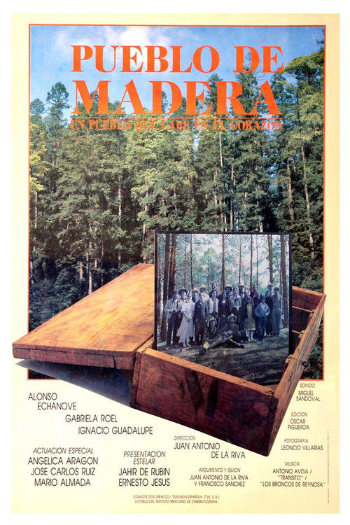 Pueblo de madera poster