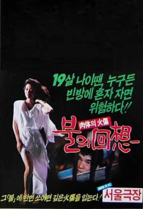 Reminiscent Flame poster