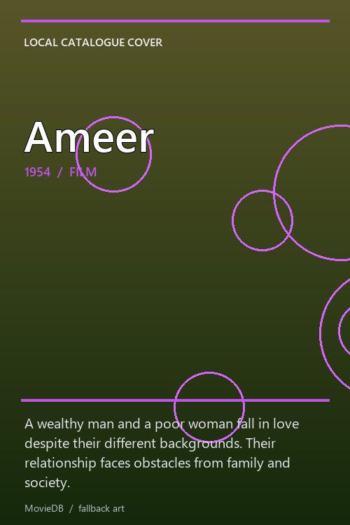 Ameer poster