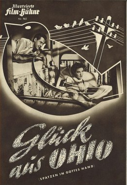 Good Fortune in Ohio poster