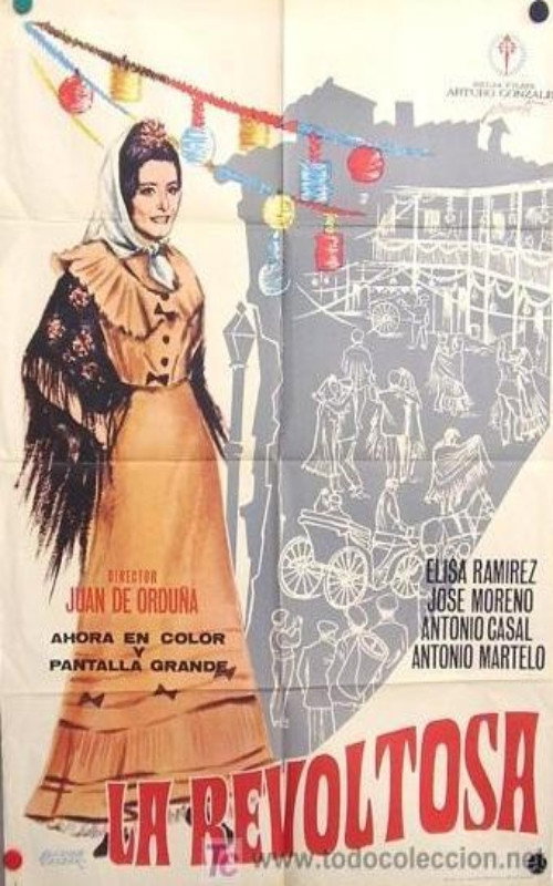 The Troublemaker poster