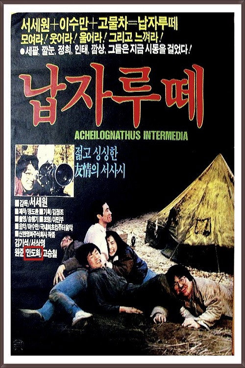 Napjarute poster