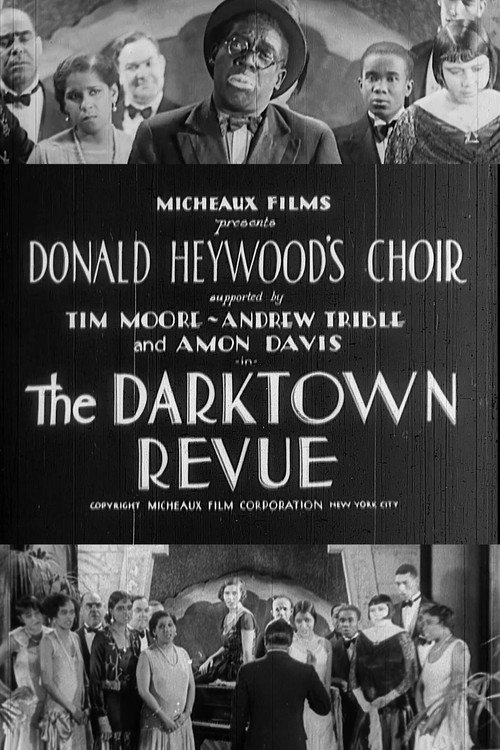 Darktown Revue poster