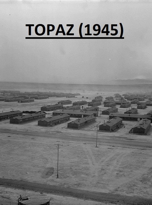 Topaz poster
