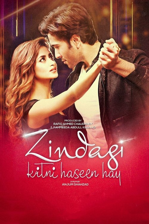 Zindagi Kitni Haseen Hai poster