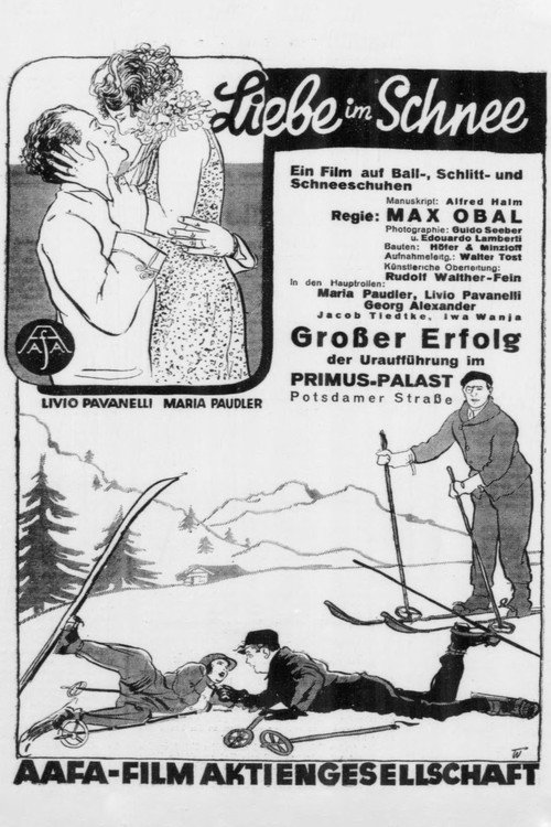 Love in the Snow poster