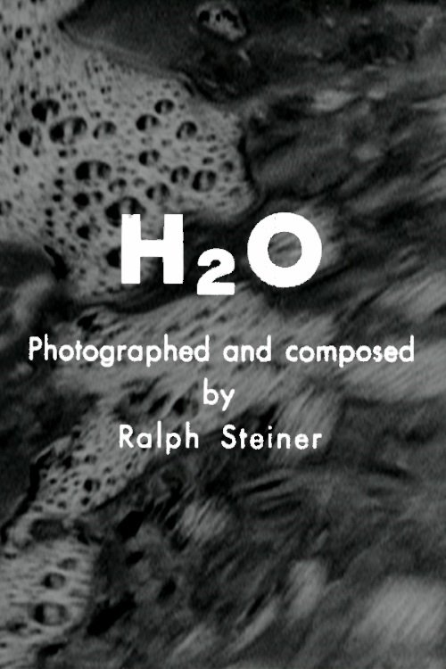 H2O poster