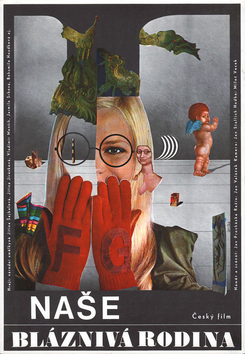 Nase bláznivá rodina poster