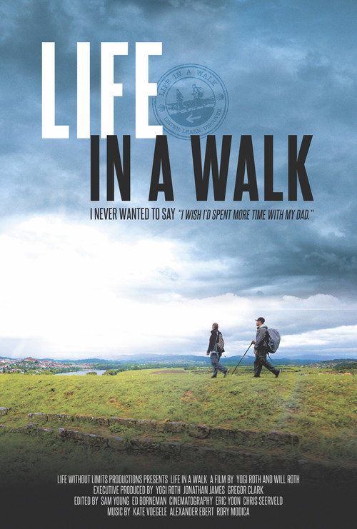 Live Tour 2015: Walk of My Life poster