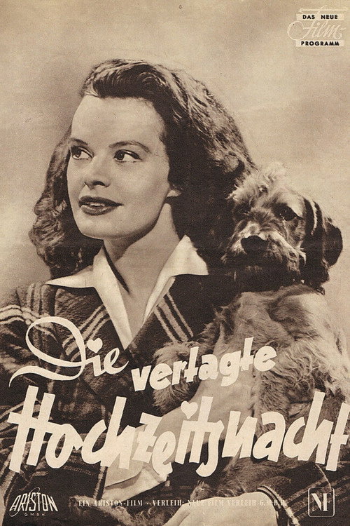 The Postponed Wedding Night poster