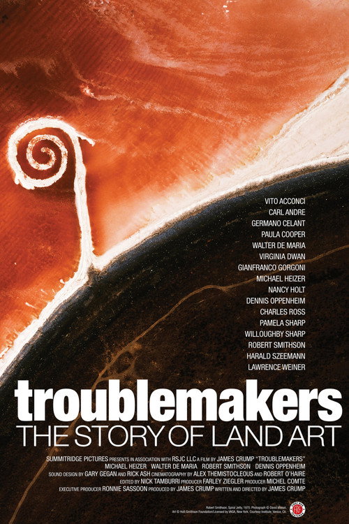 Troublemakers poster