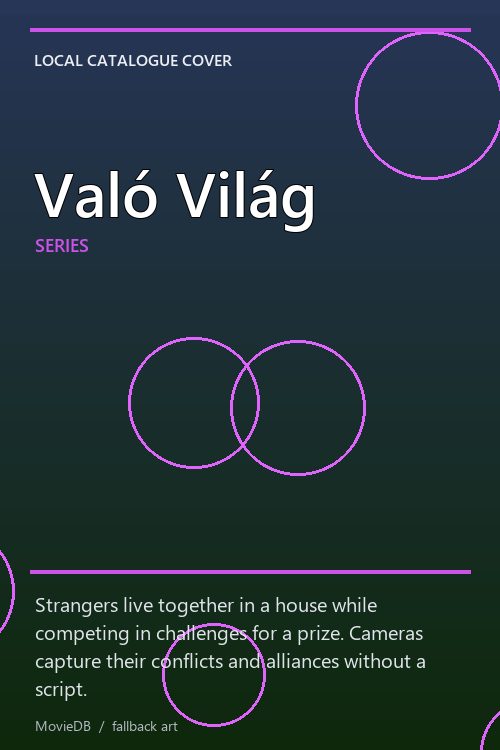 Való Világ poster