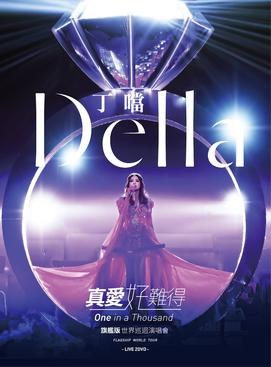 One in a Thousand Flagship World Tour poster